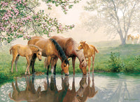 Famille de chevaux