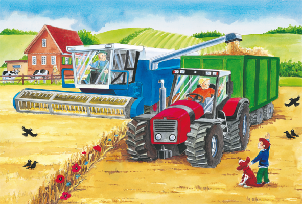 On the farm