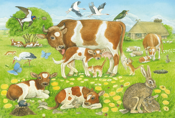 Animal family, 3x48 pcs