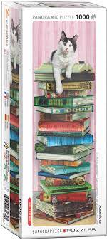 Academic Cat (Panoramic)