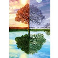 L'arbre de 4 saisons (500pcs)