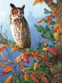 Silent Observer, Susan K. Jordan