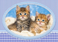 Des chatons se recroquevillant sur une couverture
