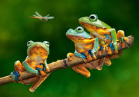 Les compagnons de grenouille