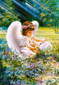 Care d'ange, Dona Gelsinger