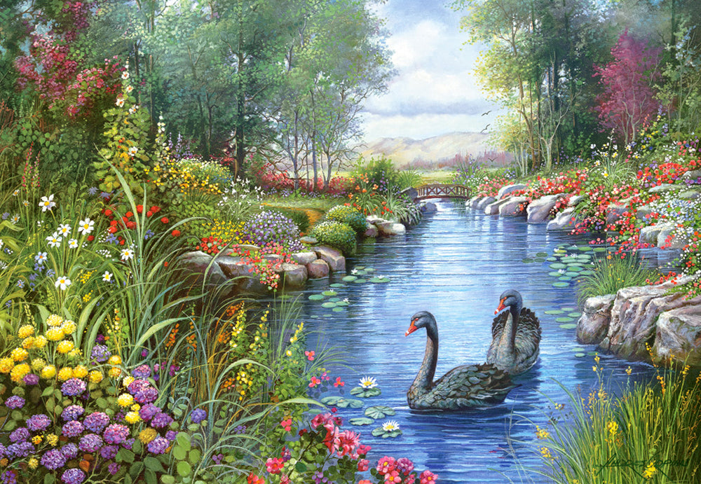 Swans noirs, Andres Orpinas (1500pcs)
