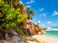 Paradise plage de Seychelles