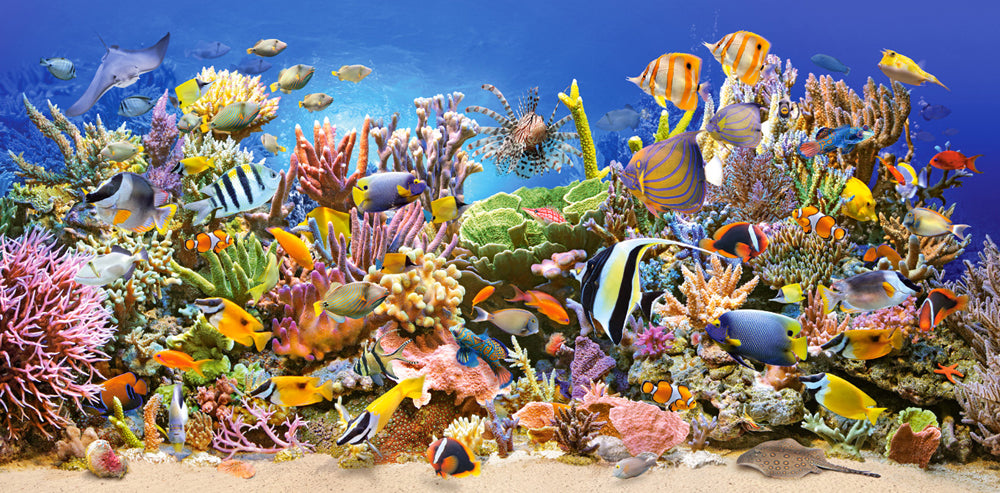 Vie sous-marine (4000pcs)