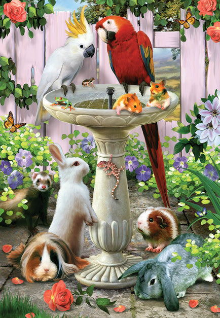 Bird Bath