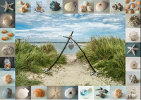 Objets de collection de bord de bord, Assaf Frank