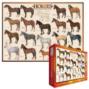Horses
