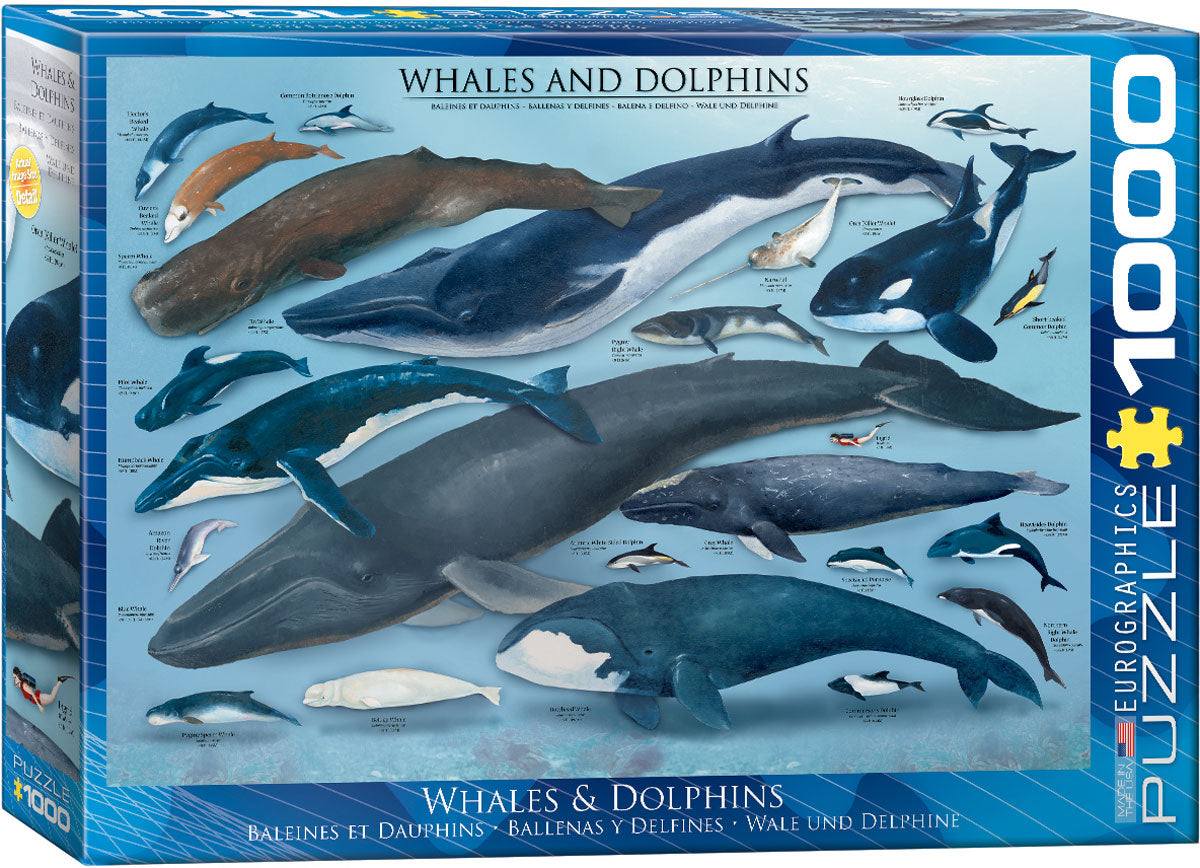 Whales & Dolphins (Baleines & Dauphins) (1000pcs)