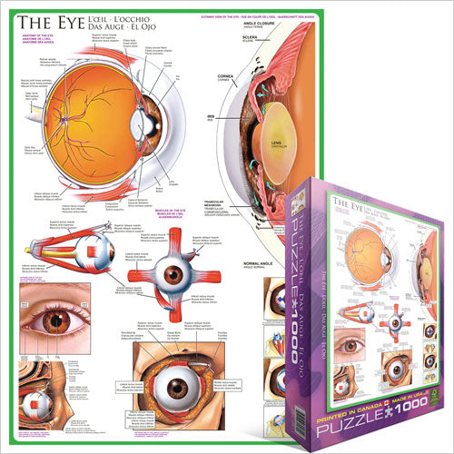 The Eye