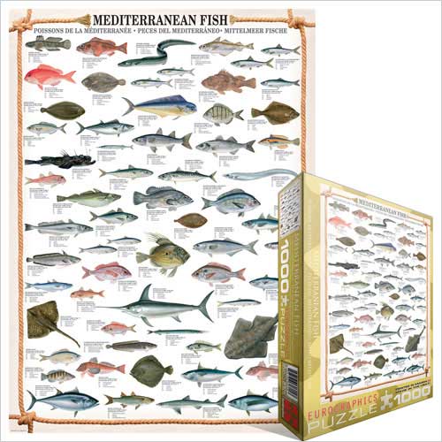Mediterranean Fish
