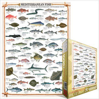 Poisson méditerranéen