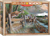 Ferme abandonnée, Kevin Daniel