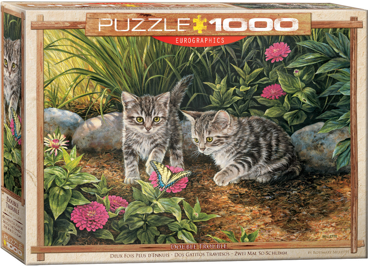 Double Trouble Kittens, Rosemary Millette