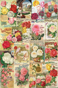 Roses - Smithsonian Seed Catalogue Collection