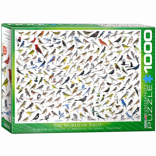 The World of Birds, by David Sibley
