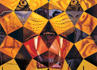 50 Abstract Paintings