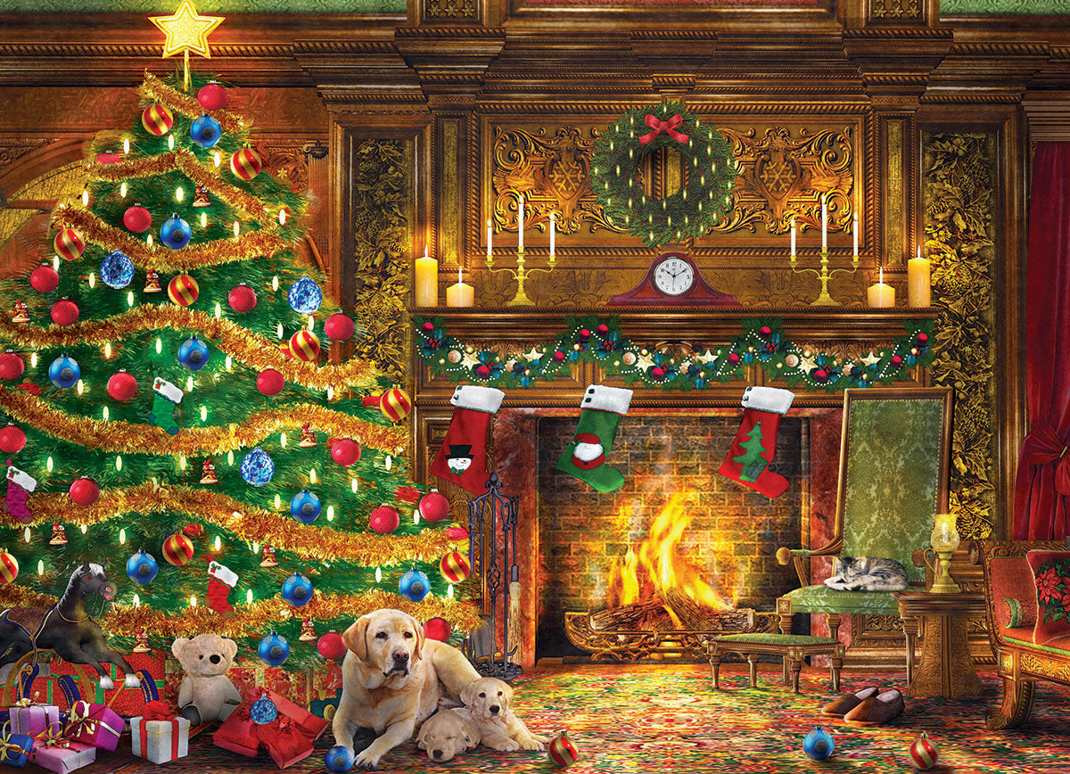 Festive Labs, Dominic Davison