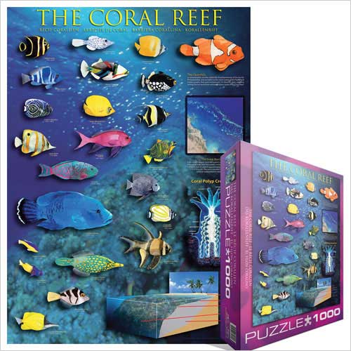 The Coral Reef