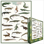 Crocodiles et alligators
