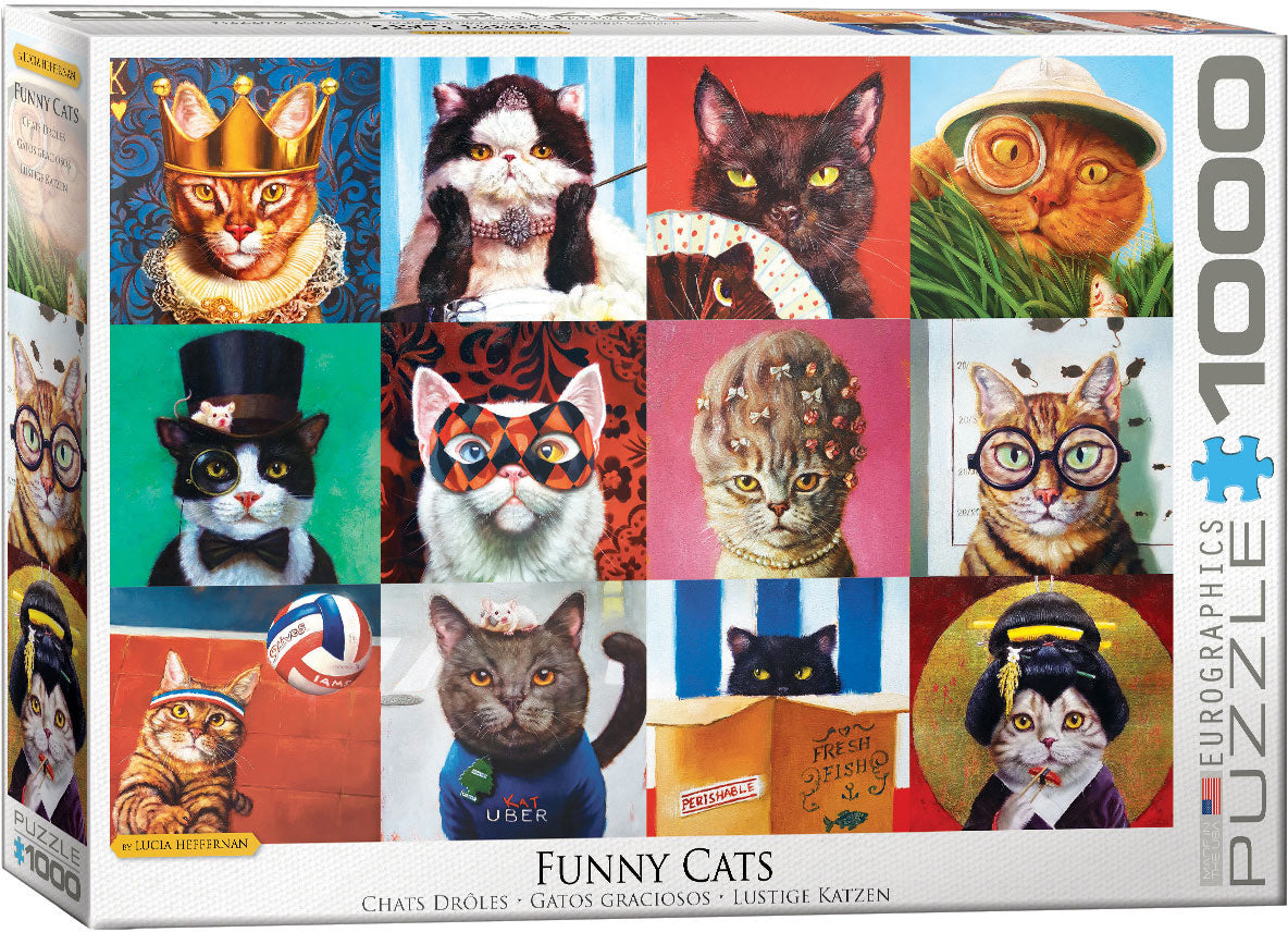 Funny Cats, Lucia Heffernan