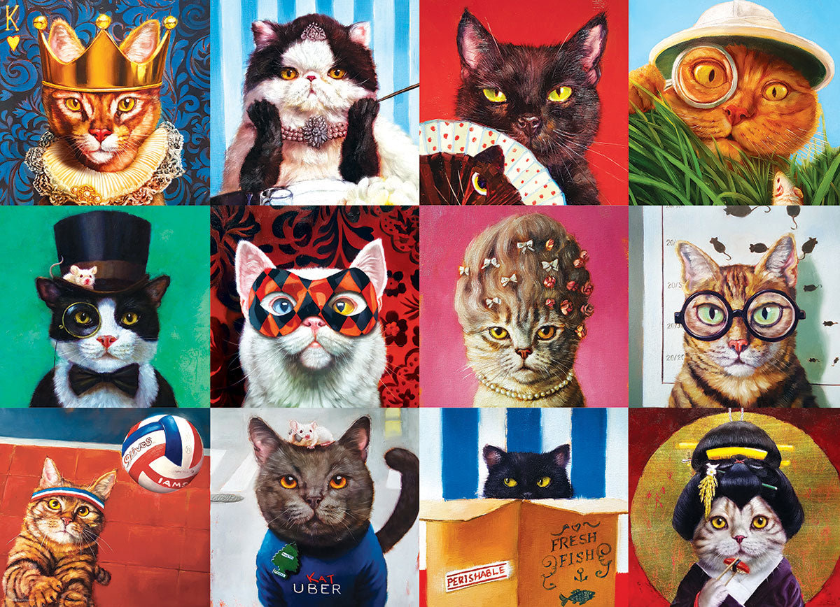 Funny Cats, Lucia Heffernan