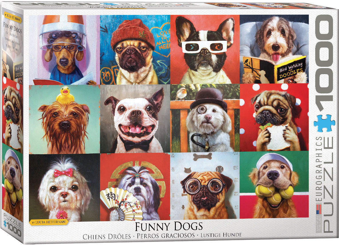 Funny Dogs, Lucia Heffernan