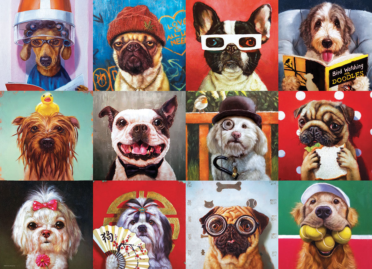 Funny Dogs, Lucia Heffernan