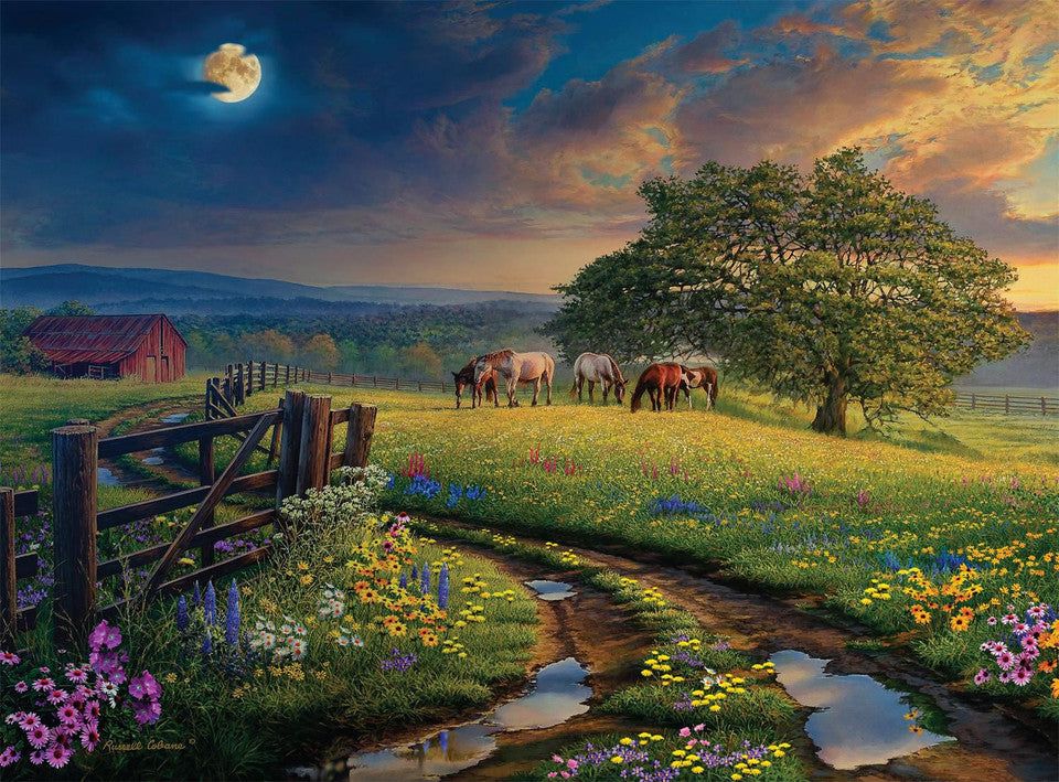 Night & Day: Dusk and Dawn at the Farm