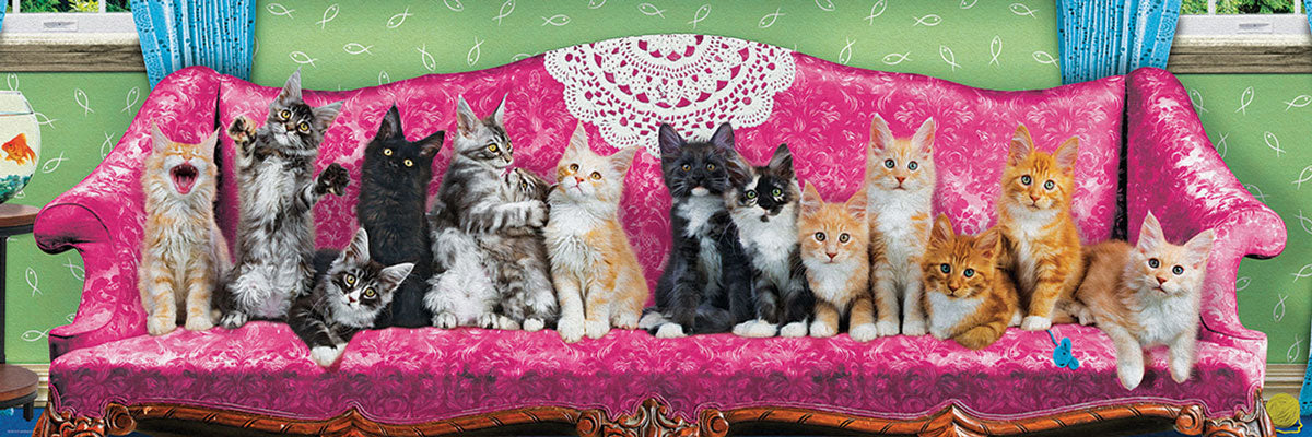 Kitty Cat Couch (Panoramic)