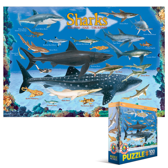 Sharks (100pcs)
