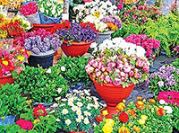 PFG Flower Shop II (USAGÉ / USET - Puzzles pour de bon)