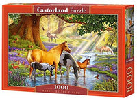 Chevaux près du ruisseau, Steve Crisp