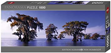 Bald Cypresses - Atchafalaya River, USA (Panorama)
