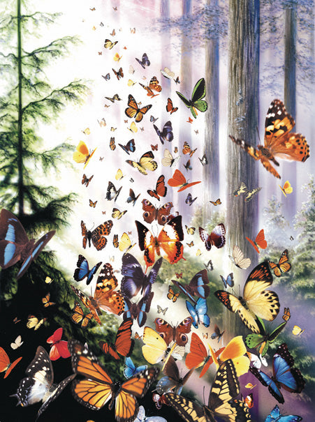Bois de papillon