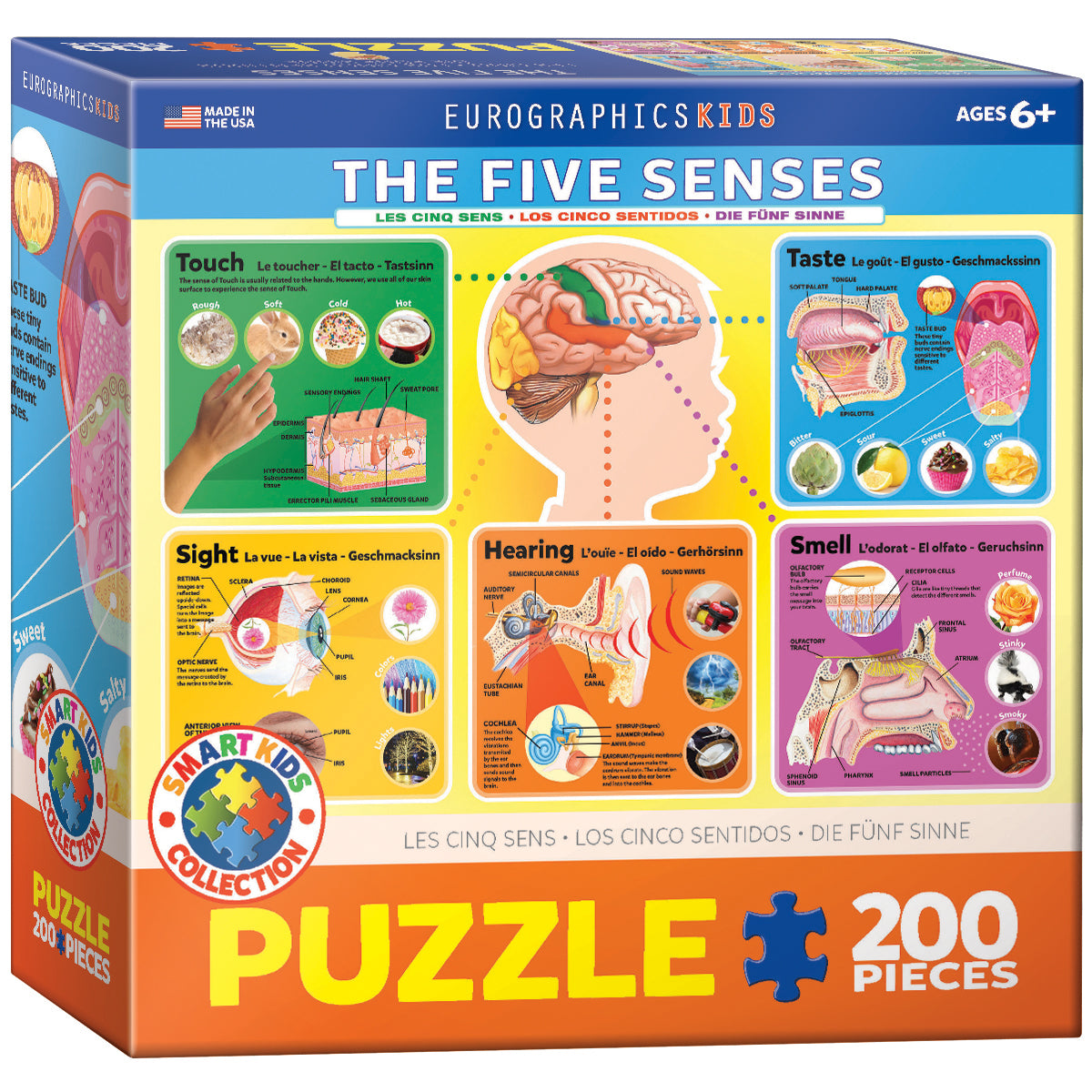 Five Senses