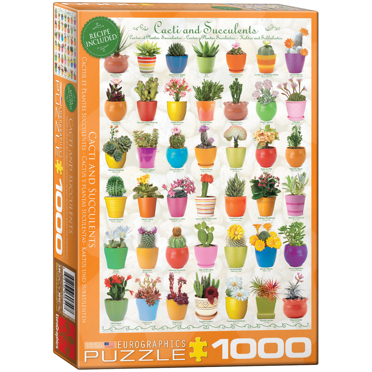 Cacti & Succulents - JigsawJungle.com