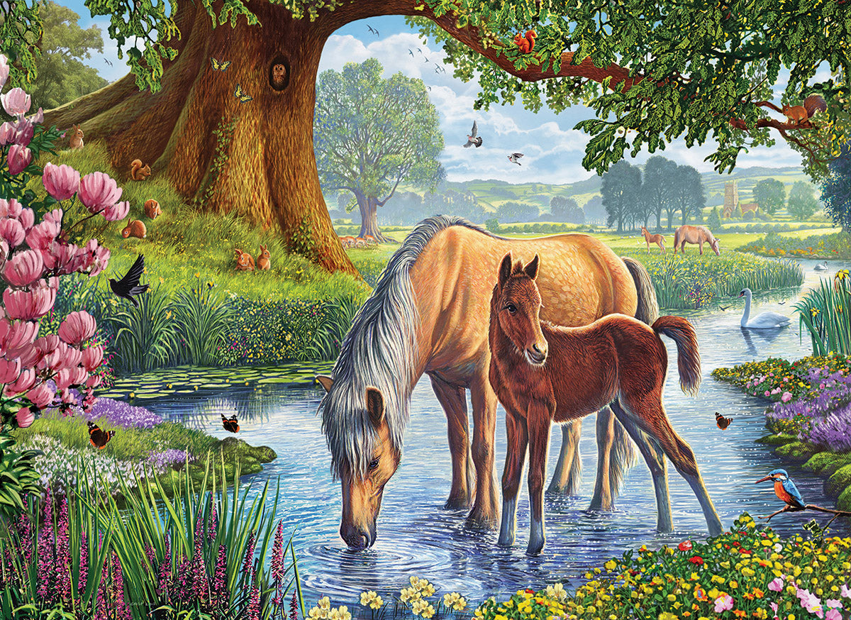 The Fell Ponies, Les Poneys Fells, Steve Crisp