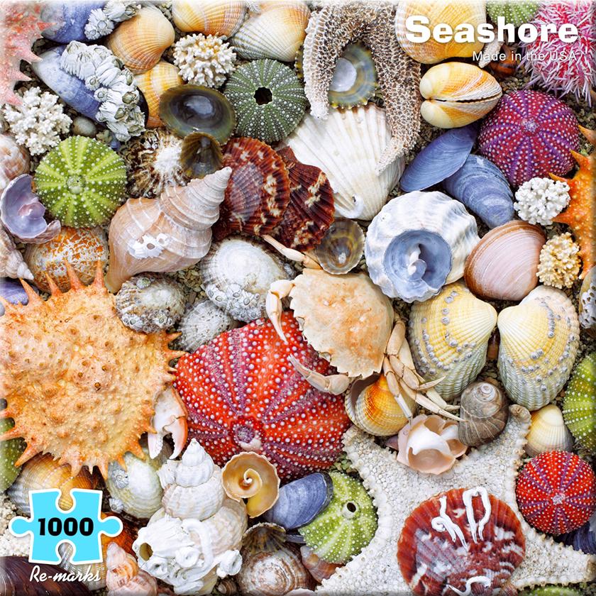Seashore