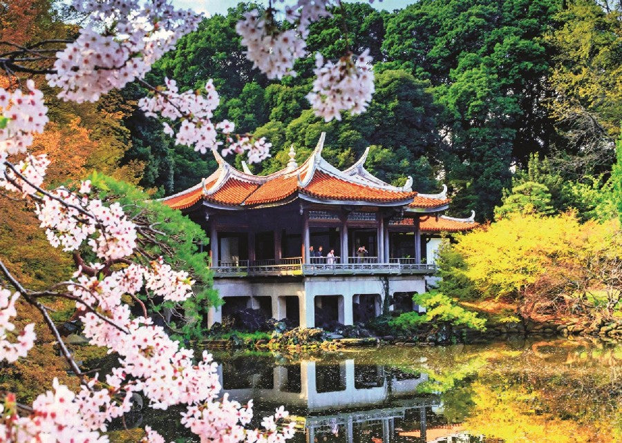 Blossom in Japan, Maurizio Rellini
