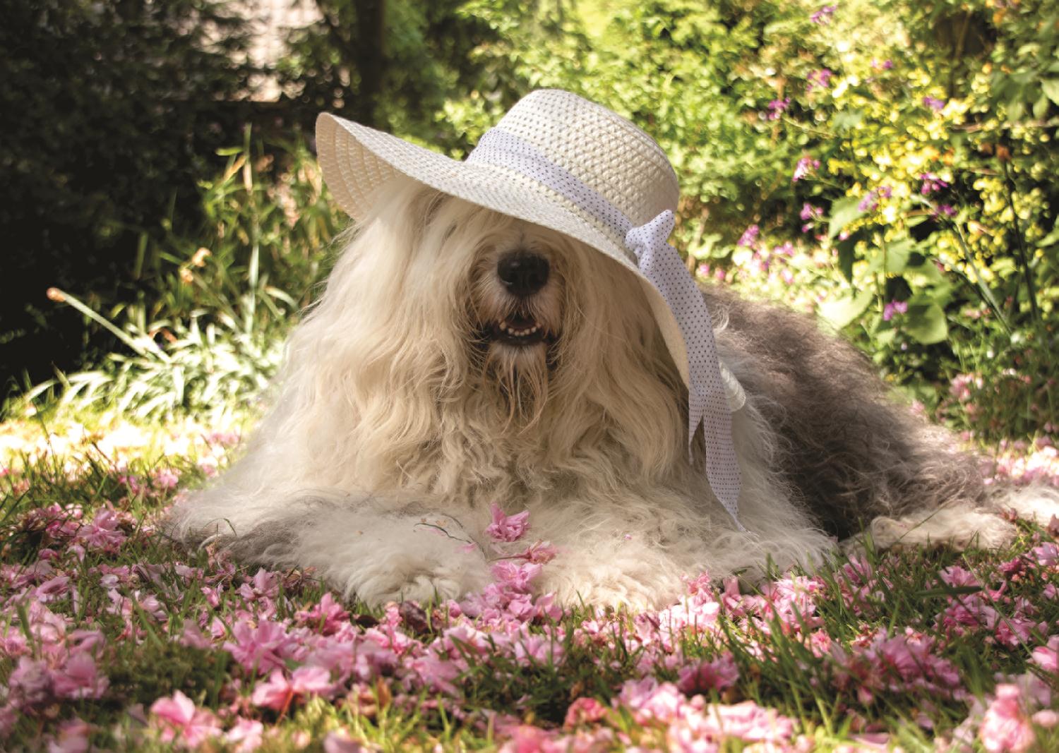 Sophie in a Bed of Flowers, Cees Bol