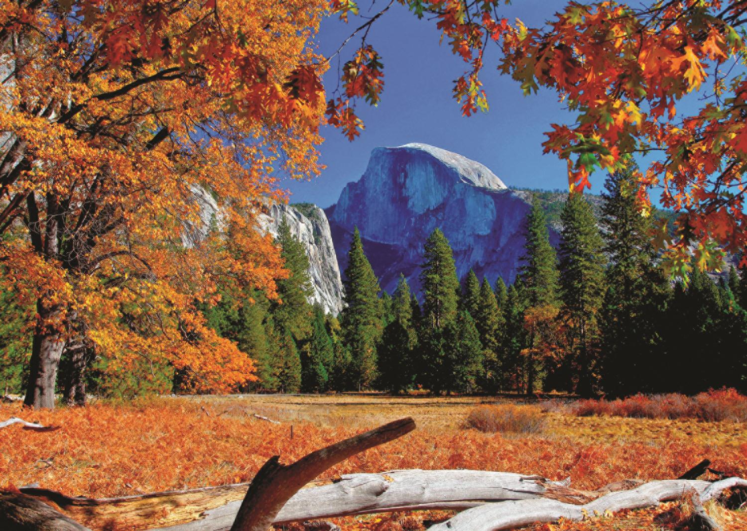 Yosemite National Park, USA