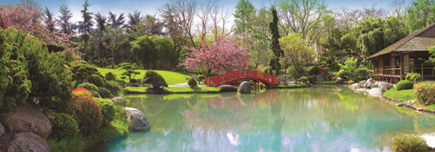 Colourful Garden (Panorama)