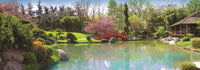 Jardin coloré (panorama)
