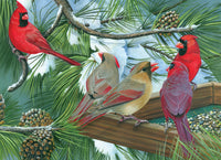 Cardinal Gathering
