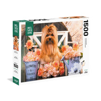 The Essentials: Cute Golden York (Les Inontournables: Mignon Golden York) (1500pcs)