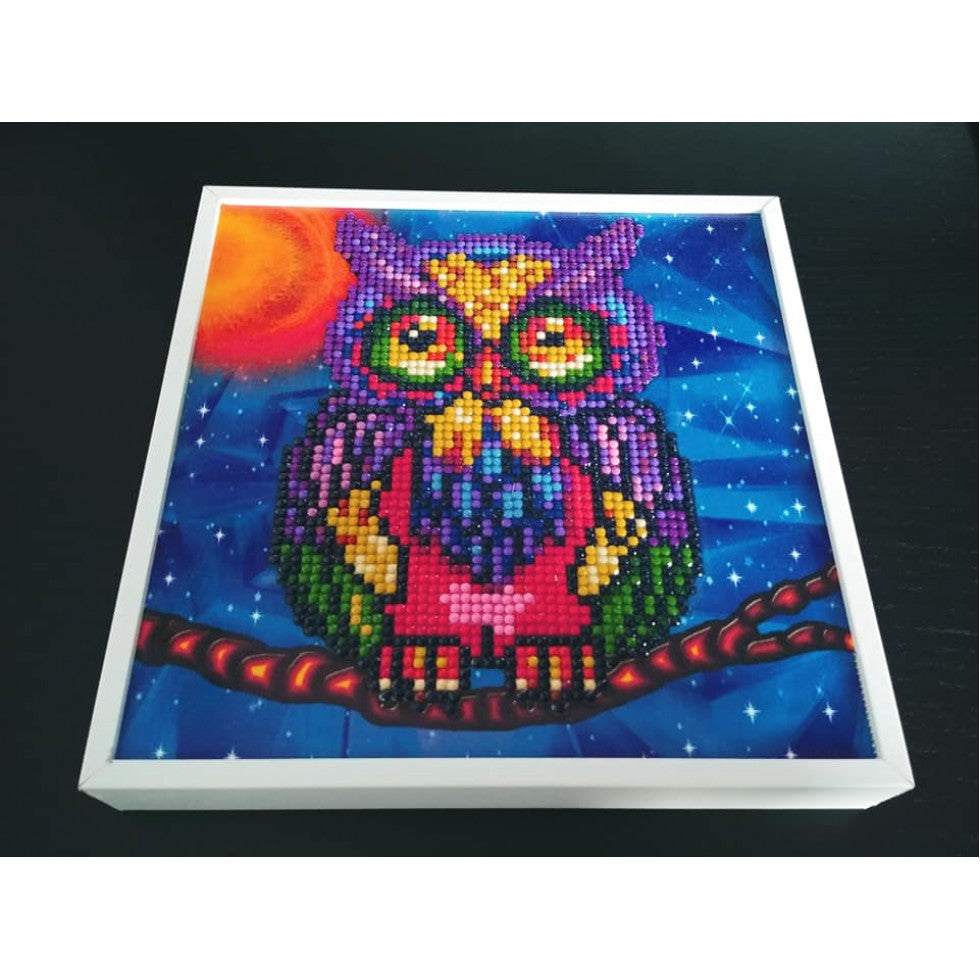 HOWIE (Hibou / Owl), Diamond Painting in Frame